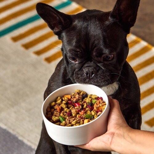 PetPlate Human-Grade Fresh Dog Food