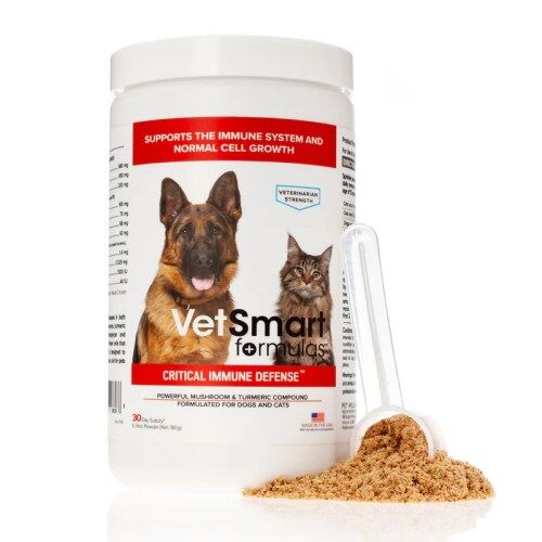 Critical Immune Defense for Dogs and Cats – Pet Wellness Direct